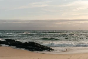 waves along the rocky coast